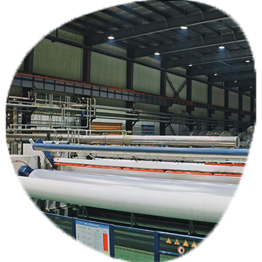 Carton Sealing Tape